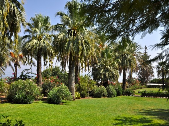 MONTE DE LAS BEATITUDES 