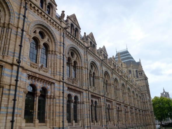 MUSEO DE CIENCIAS NATURALES 