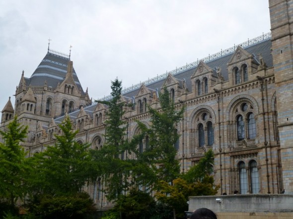 MUSEO DE CIENCIAS NATURALES 