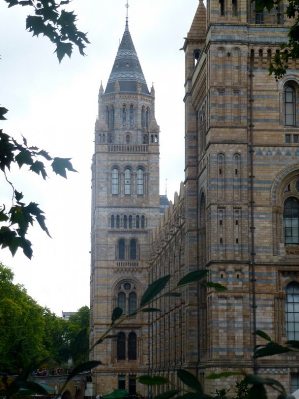 MUSEO DE CIENCIAS NATURALES 